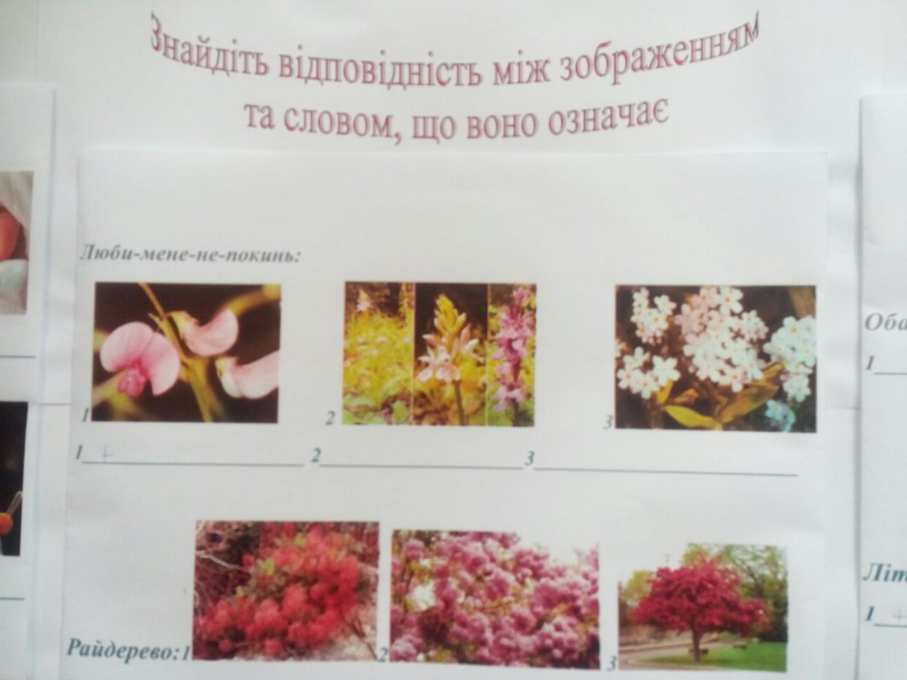 Stefanenko Stinivka KPP IL2