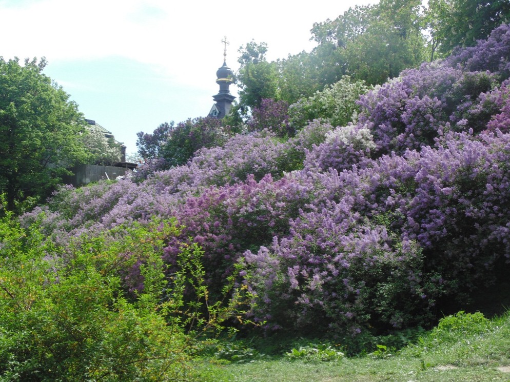 botanichnyy sad 03 05 2