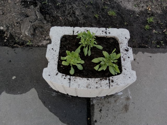 День довкілля (20.04.2018)